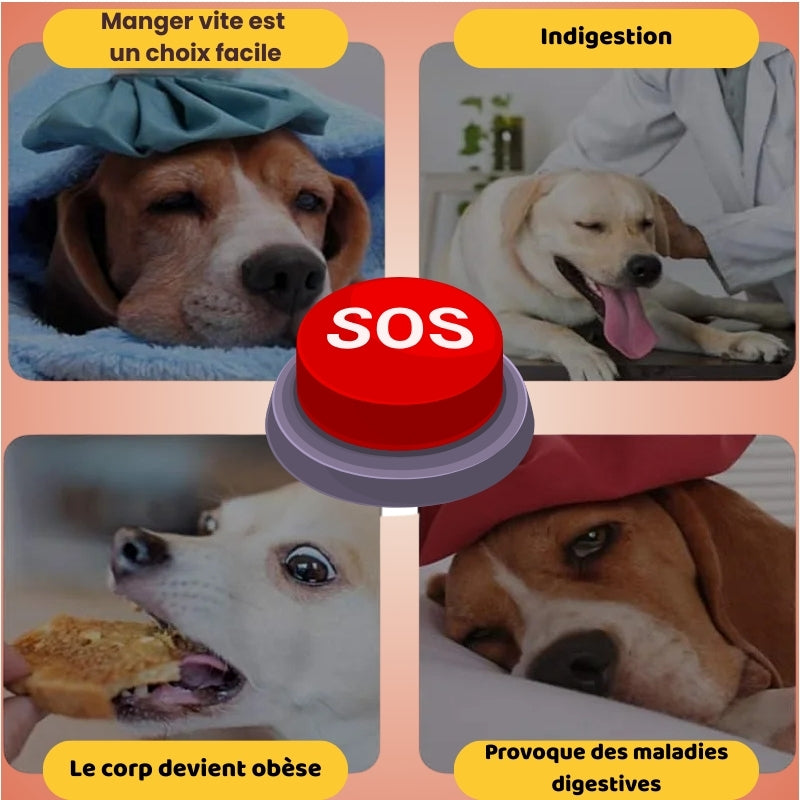 Gamelouf pour chien