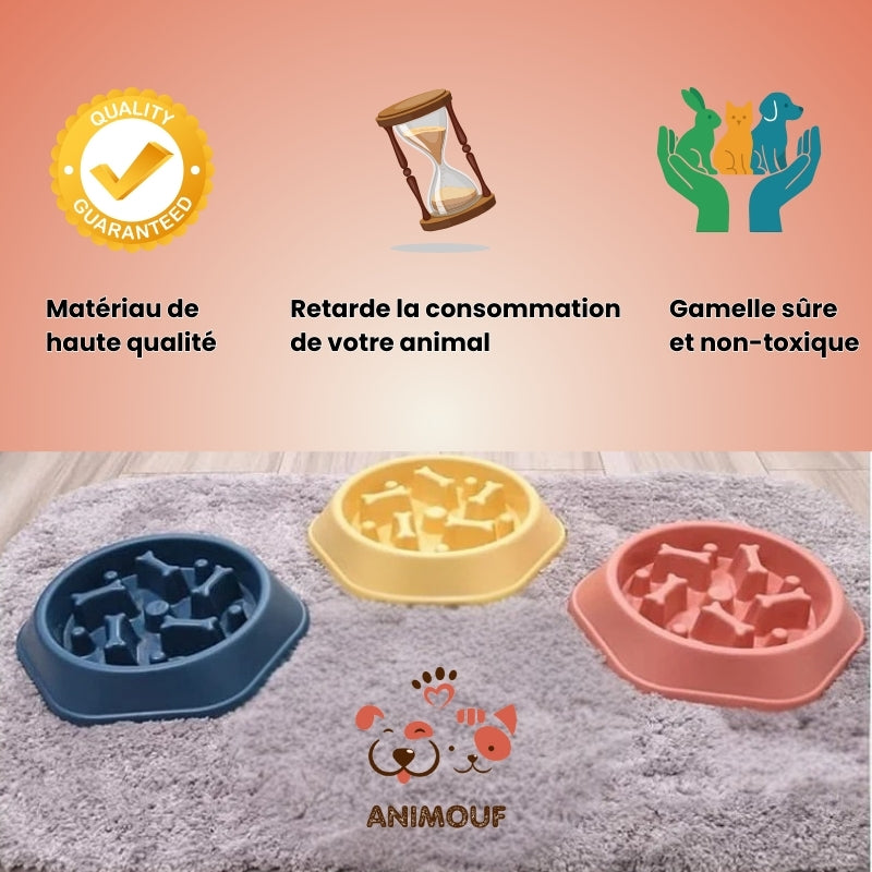 Gamelouf pour chien