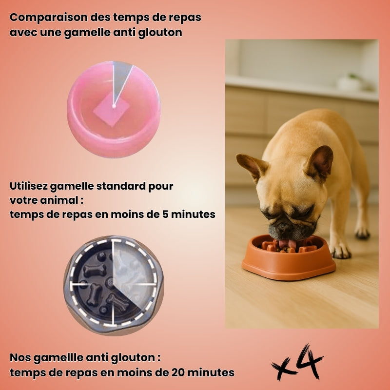 Gamelouf pour chien