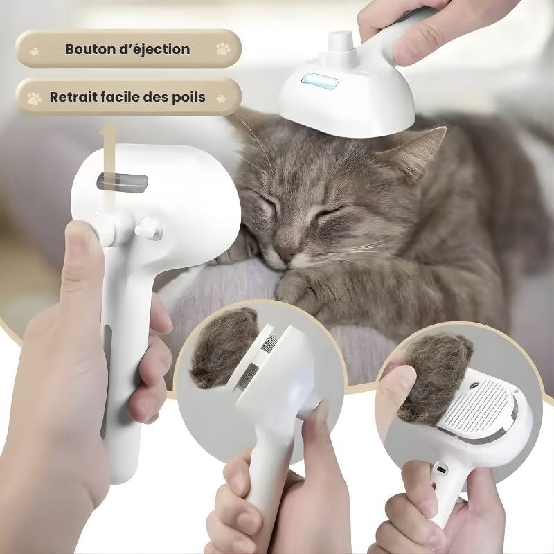 Brosse électronique à vapeur - Brumouf