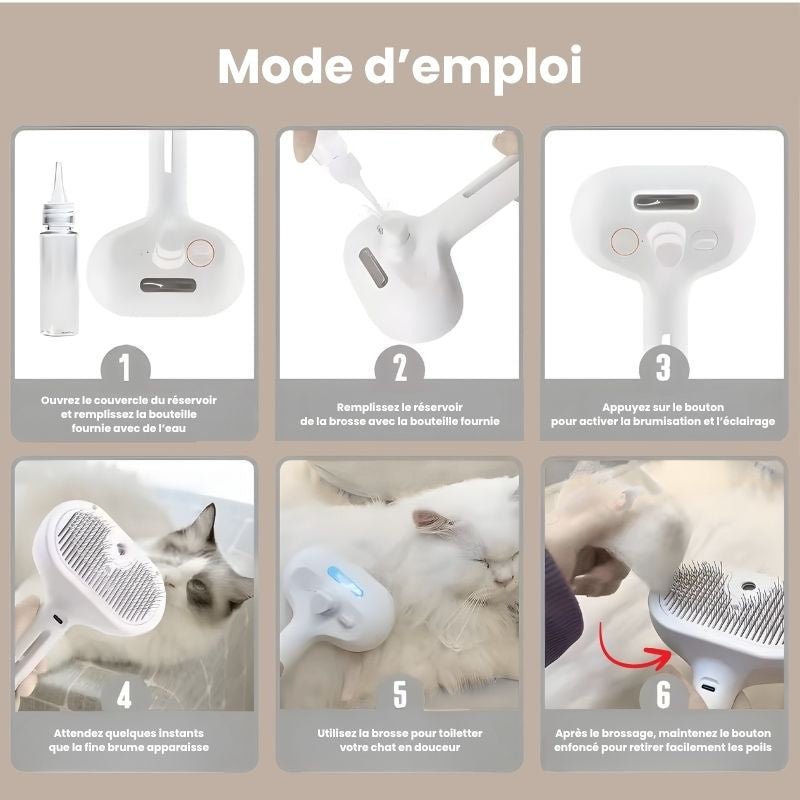 Brosse électronique à vapeur - Brumouf