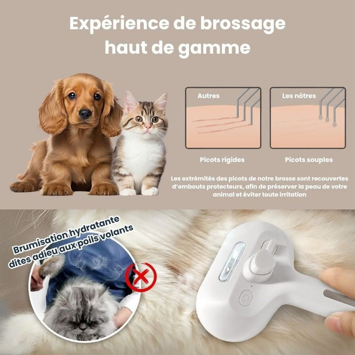 Brosse électronique à vapeur - Brumouf