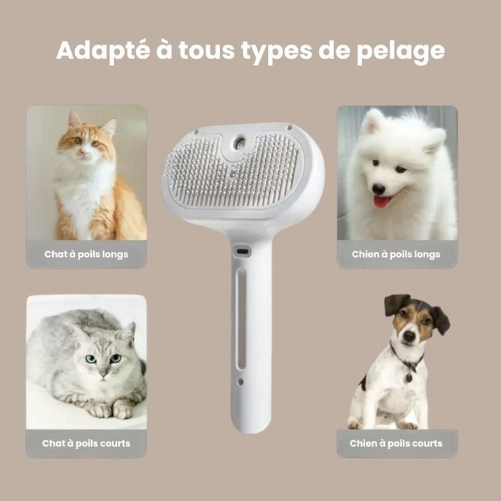 Brosse électronique à vapeur - Brumouf