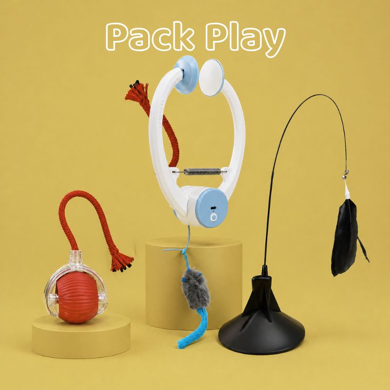 Jouet interactif pour chat - Stimouf