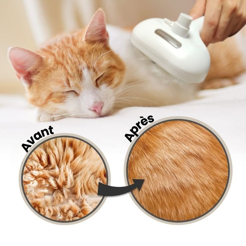 Brosse électronique à vapeur - Brumouf