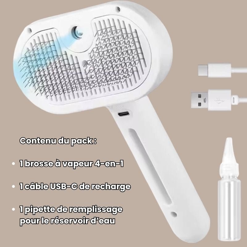 Brosse électronique à vapeur - Brumouf