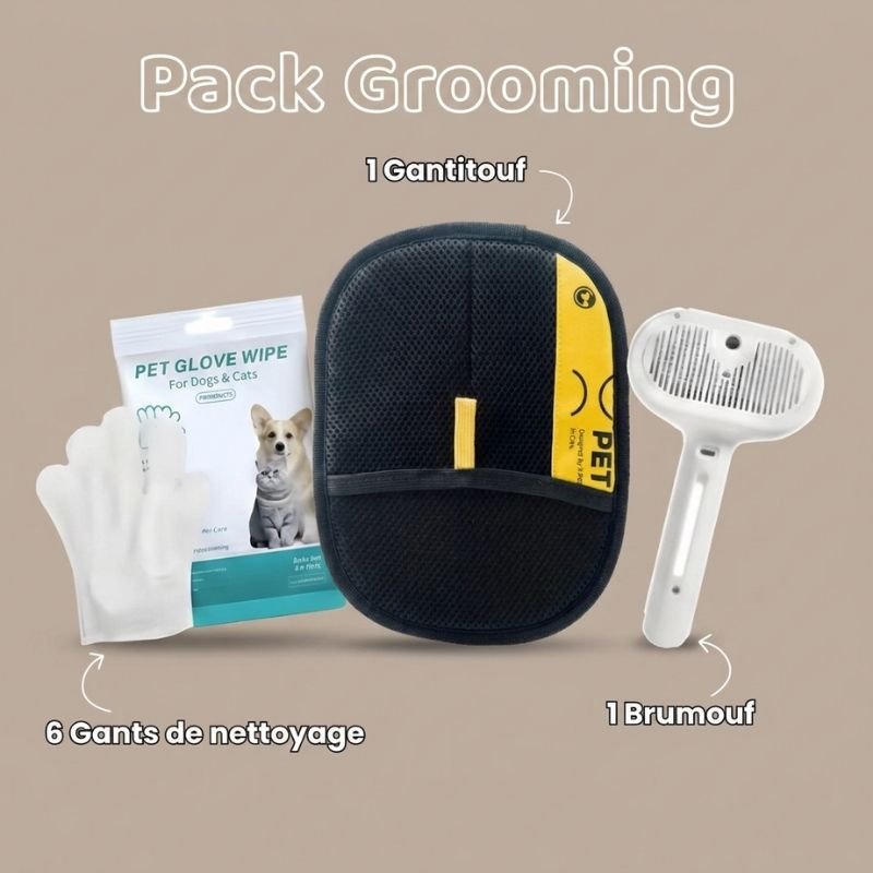 Brosse électronique à vapeur - Brumouf