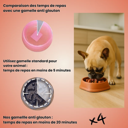 Gamelouf pour chien