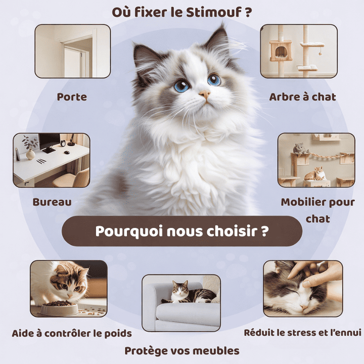 Jouet interactif pour chat - Stimouf