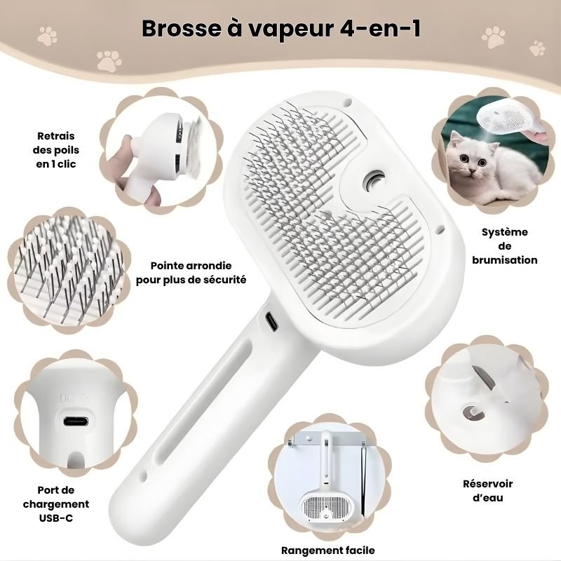 Brosse électronique à vapeur - Brumouf