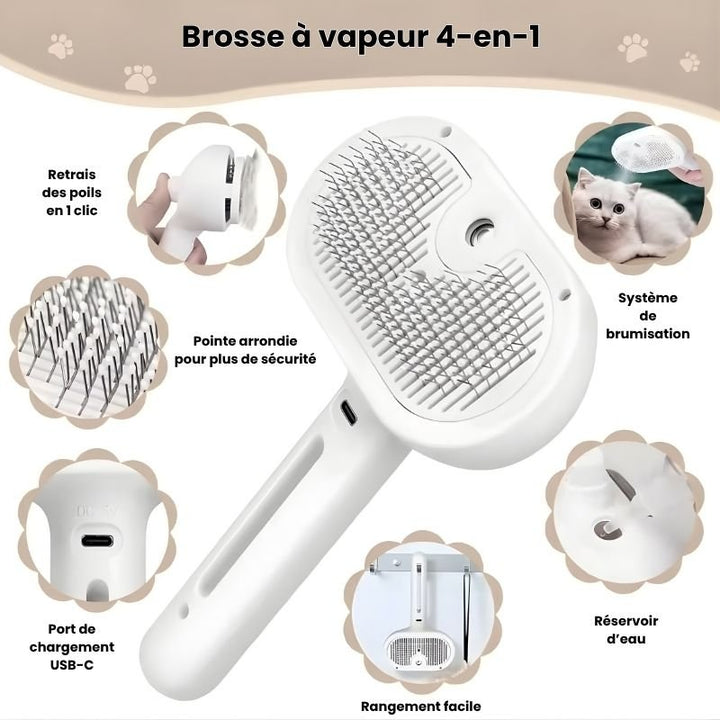 Brosse électronique à vapeur - Brumouf