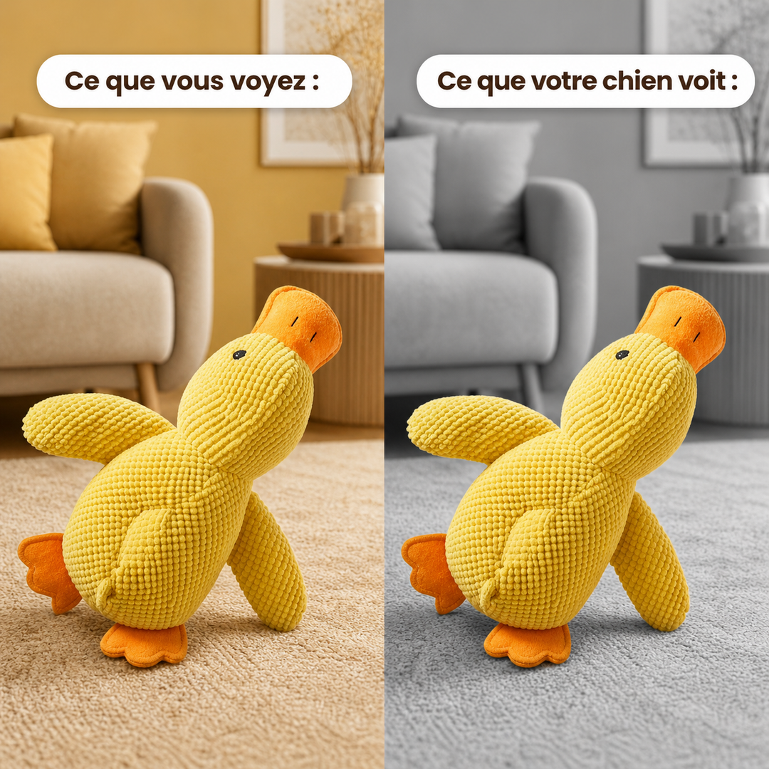 Jouet Apaisant pour chien - Canouf