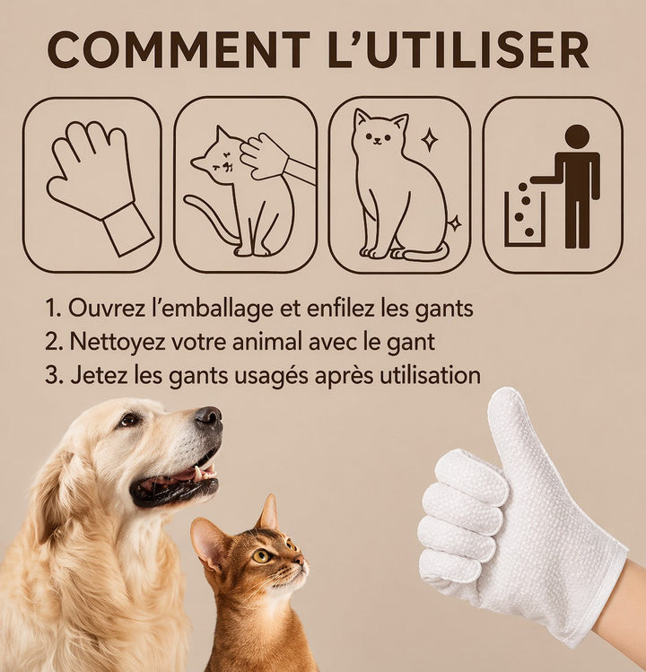 A69D4393-DF4C-4002-9EC4-E80C5D0672D1.png