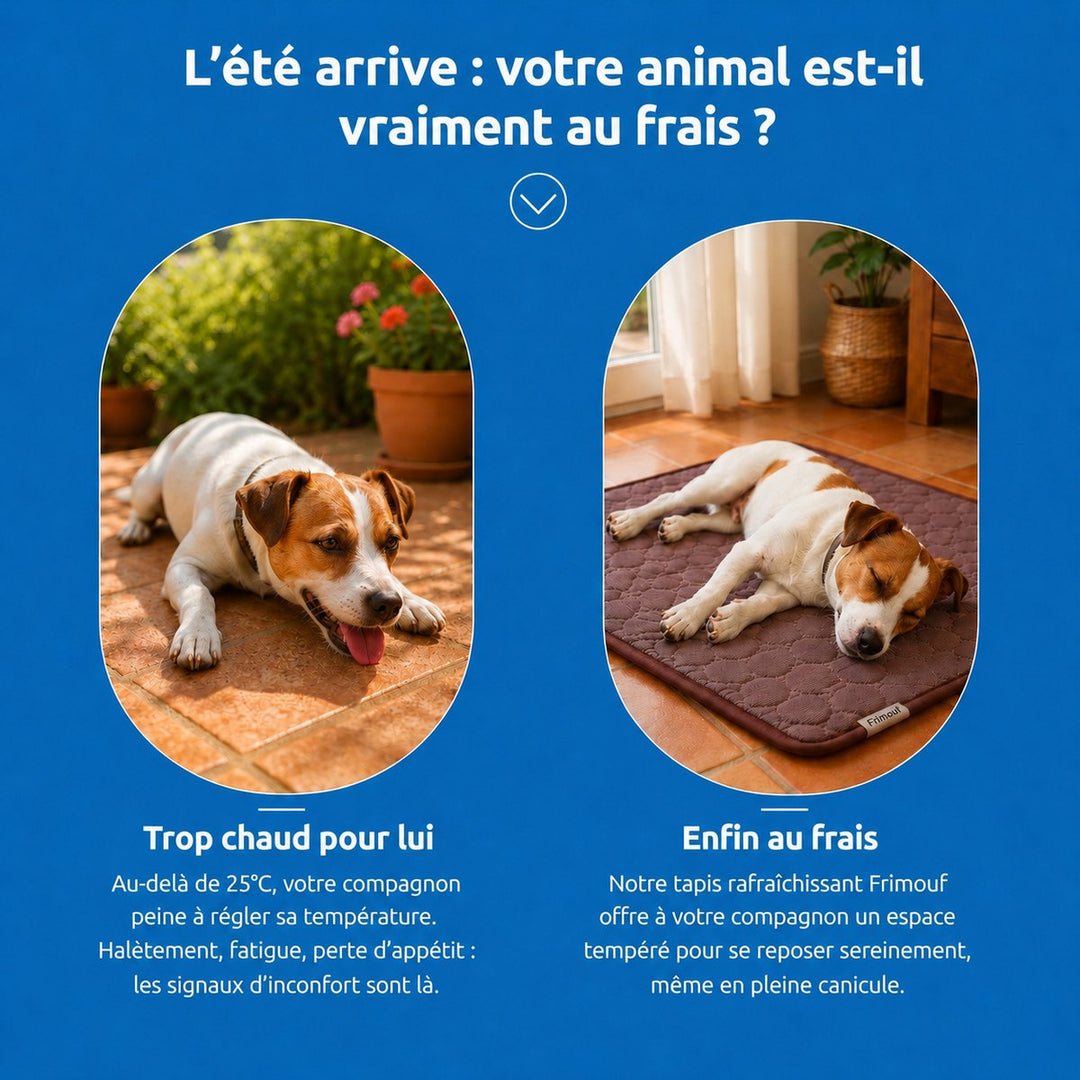 Tapis rafraîchissant - Frimouf