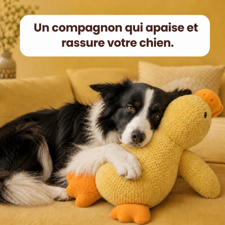 Jouet Apaisant pour chien - Canouf