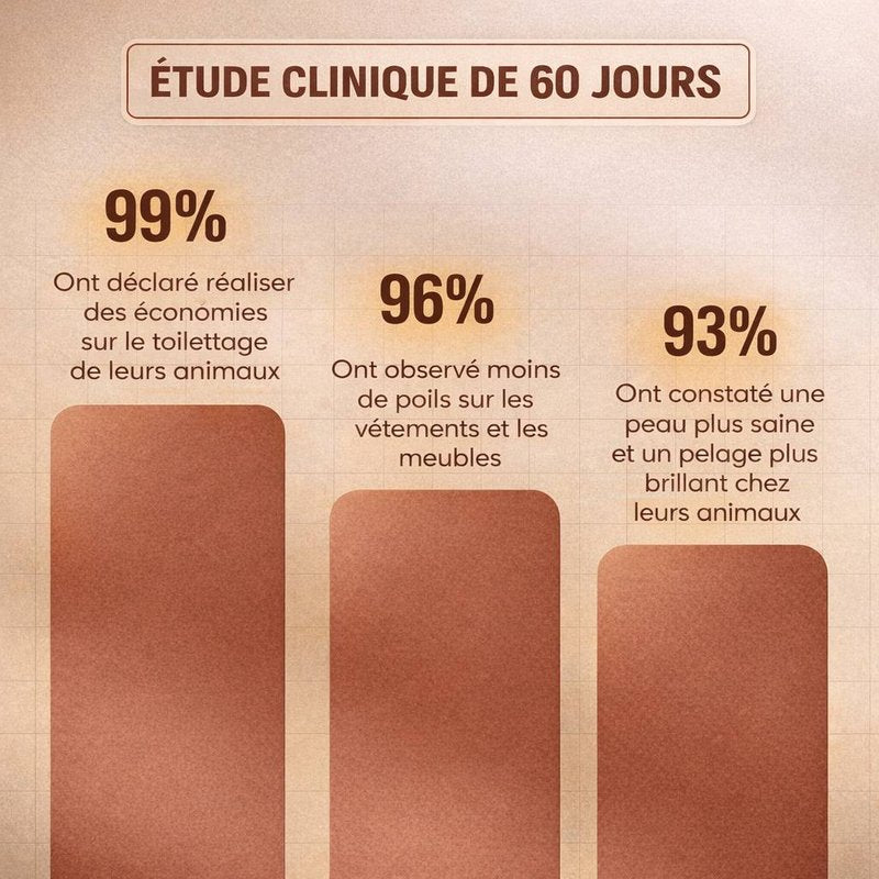 Brosse électronique à vapeur - Brumouf