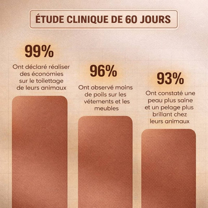 Brosse électronique à vapeur - Brumouf