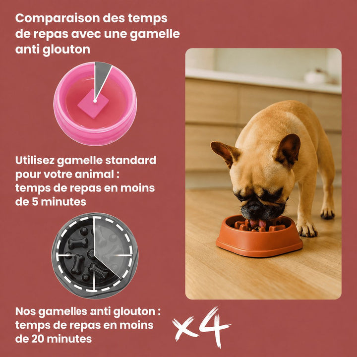 Gamelle Anti-Glouton pour chien - Gamelouf