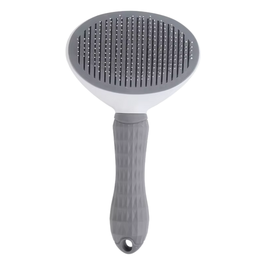1 Brosse autonettoyante