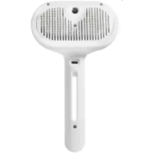Brosse électrique à vapeur
