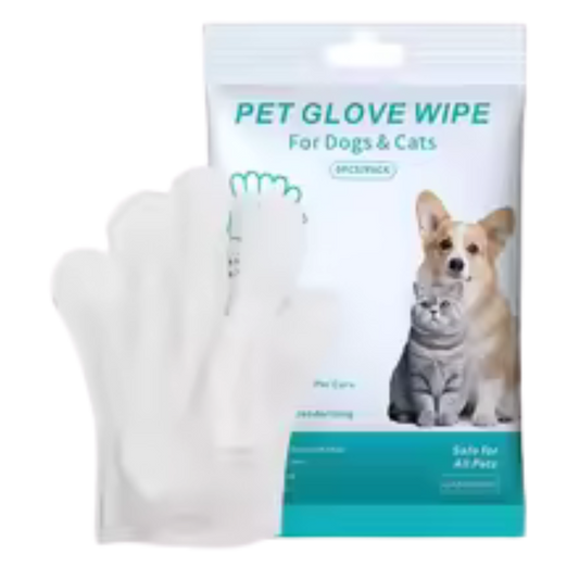 6 Gants de Nettoyage