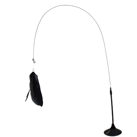 Canne a pêche pour chat