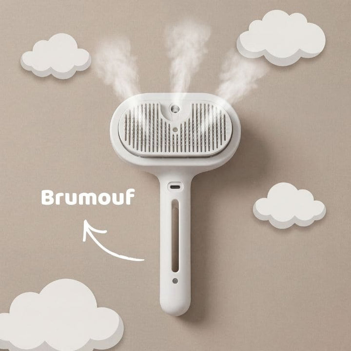 Brosse électronique à vapeur - Brumouf