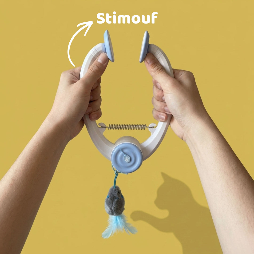 Jouet interactif pour chat - Stimouf