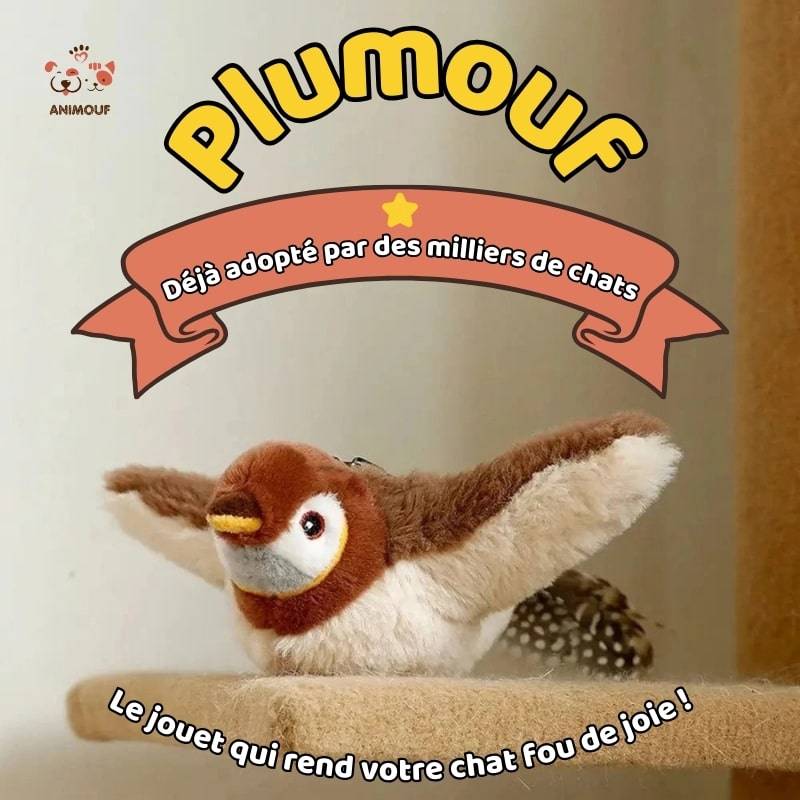Oiseau interactif pour chat - Plumouf