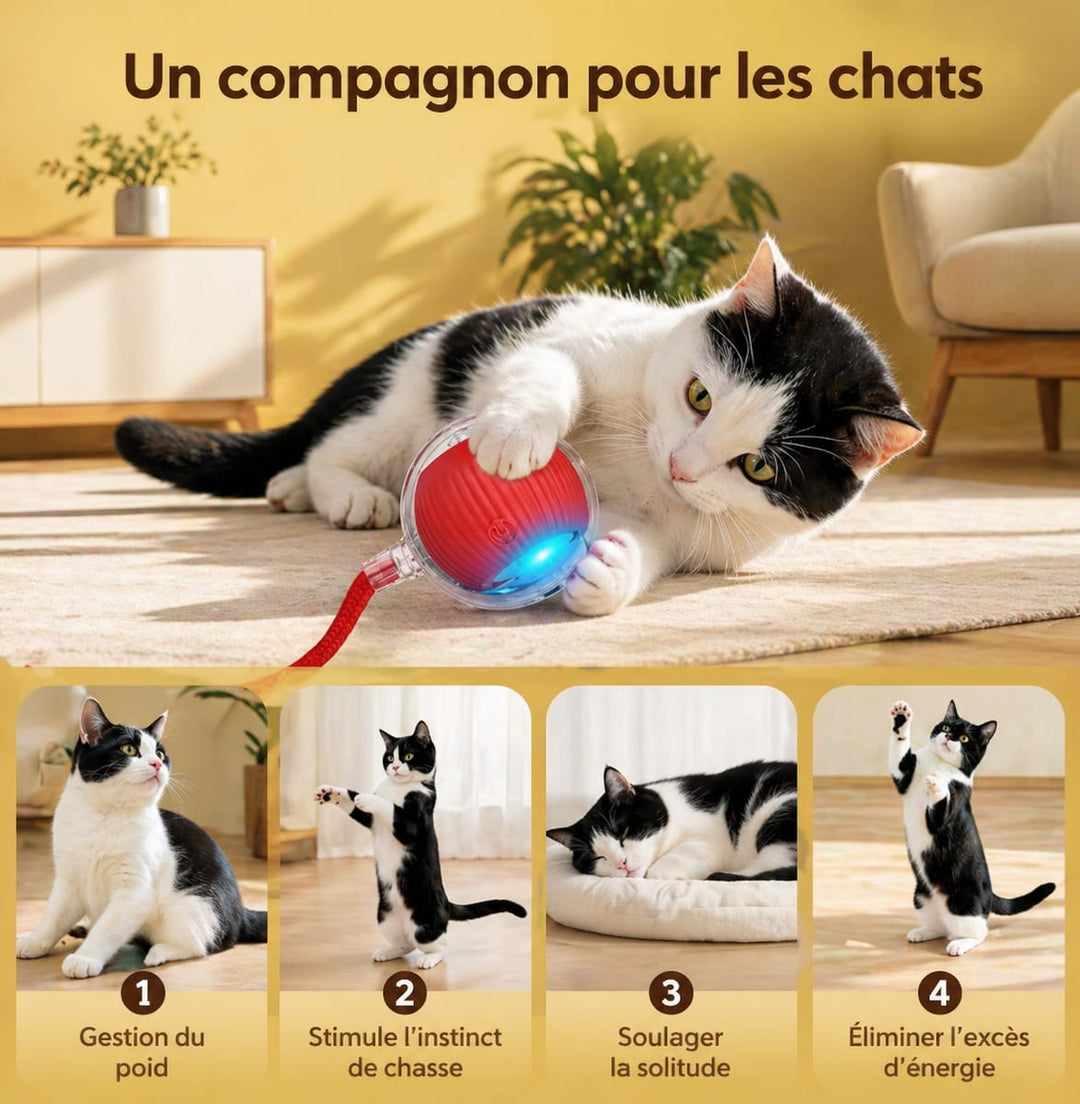 Balle interactive pour chat - Ballouf