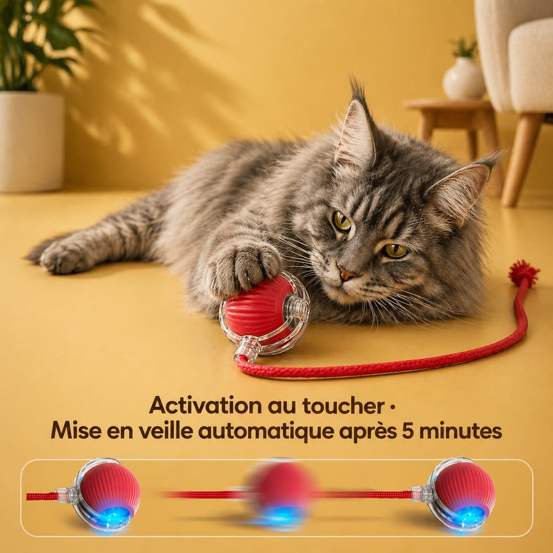 Balle interactive pour chat - Ballouf