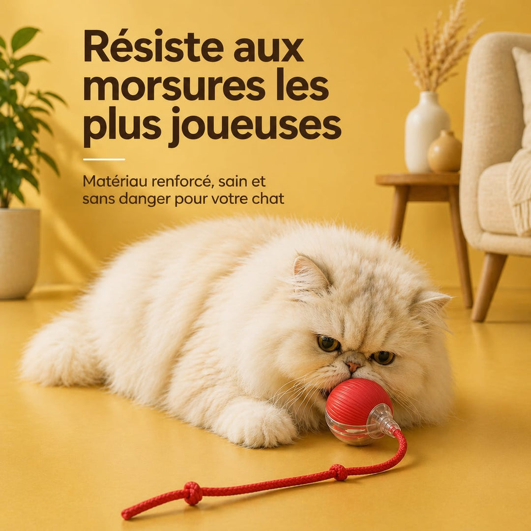 Balle interactive pour chat - Ballouf