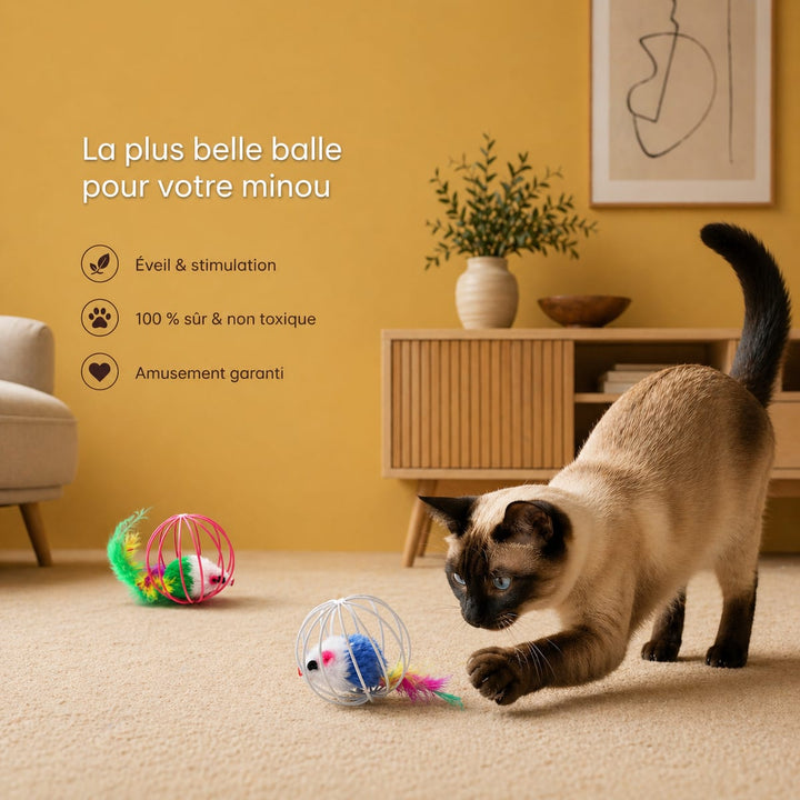 Balle pour chat