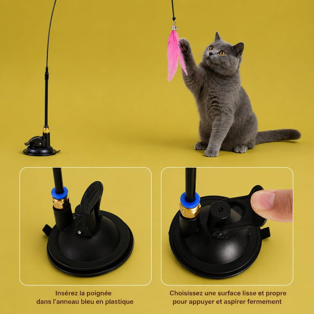 Canne à pêche pour chat