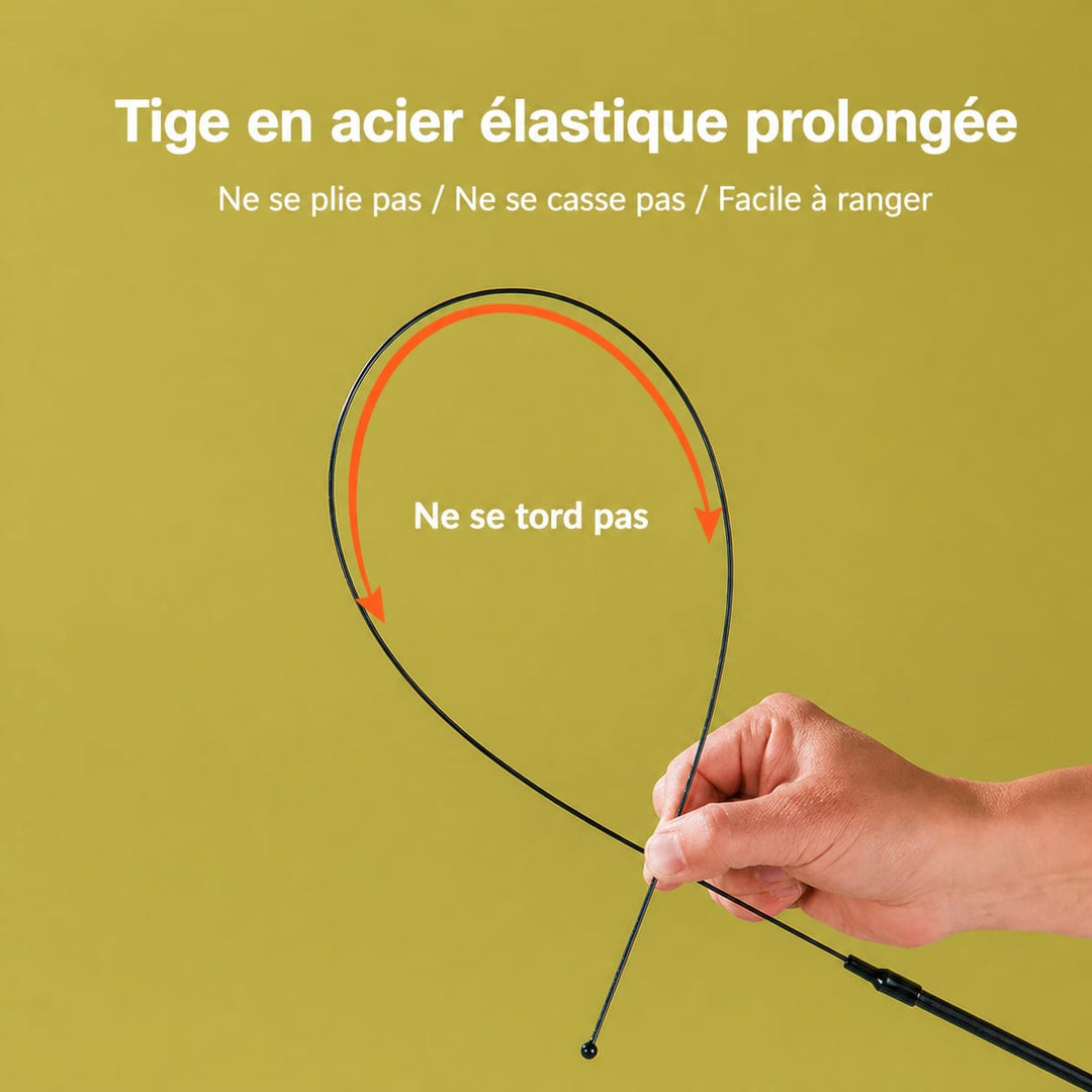 Canne à pêche pour chat