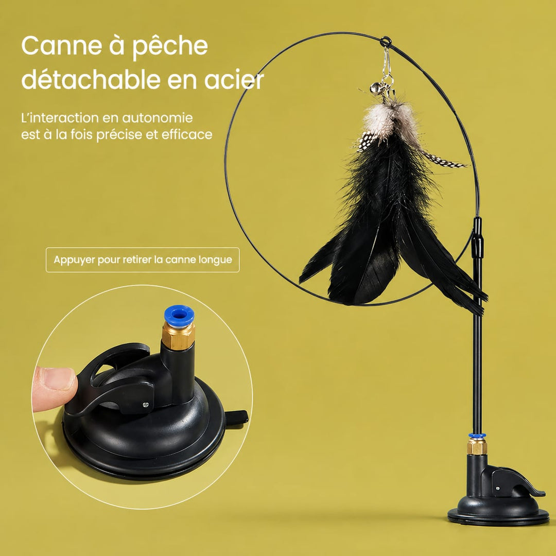 Canne à pêche pour chat