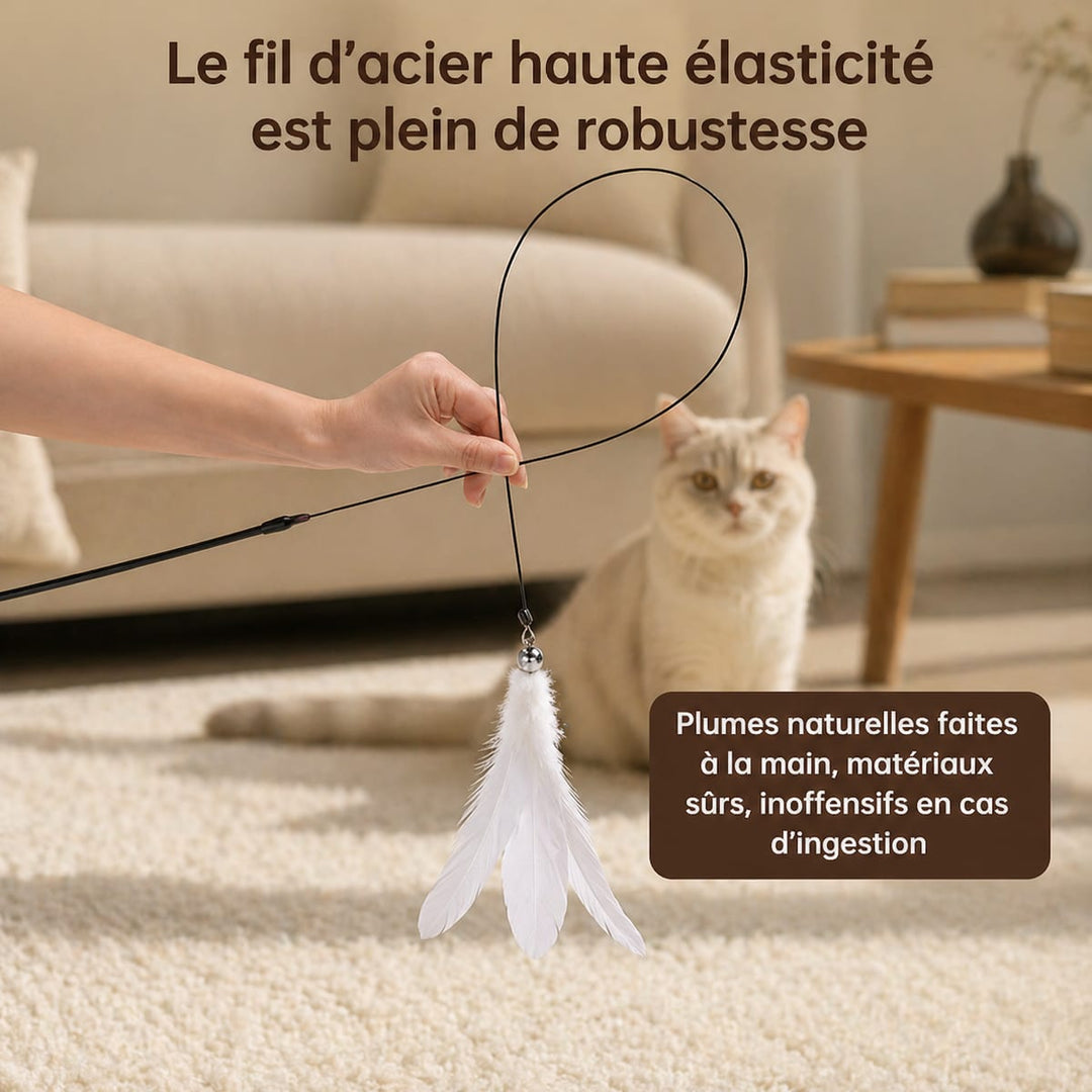 Canne à pêche pour chat
