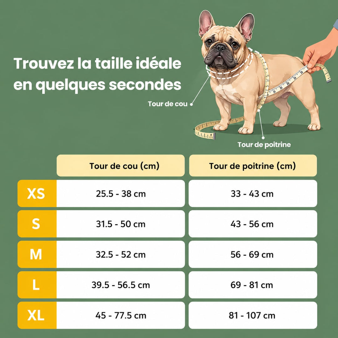 Harnais anti-traction - Harnouf
