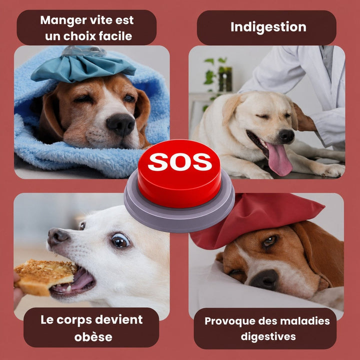 ChatGPTImage25avr.2026_11_50_45_792a136c-cc73-4187-8855-b4144ecf63bf.png