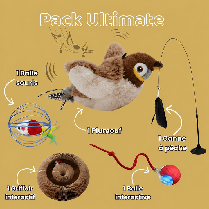 Oiseau interactif pour chat - Plumouf