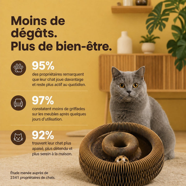 Griffoir interactif pour chat - Griffouf