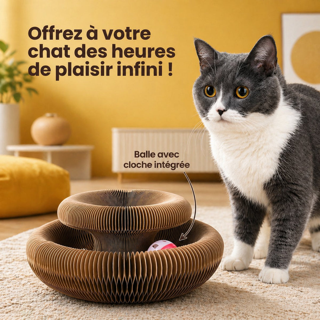 Griffoir interactif pour chat - Griffouf