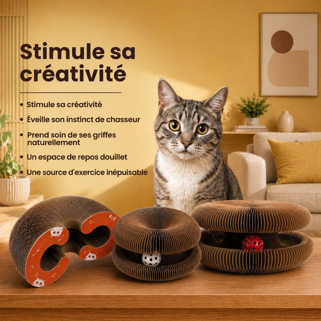 Griffoir interactif pour chat - Griffouf
